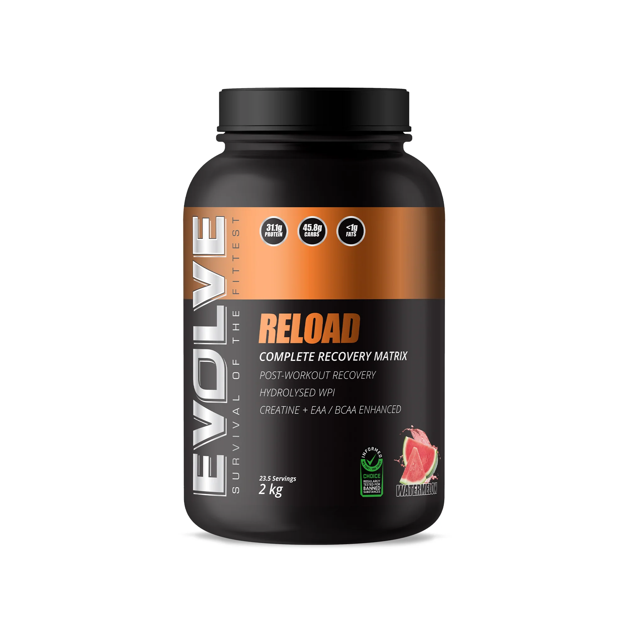 Evolve Reload - Image 5
