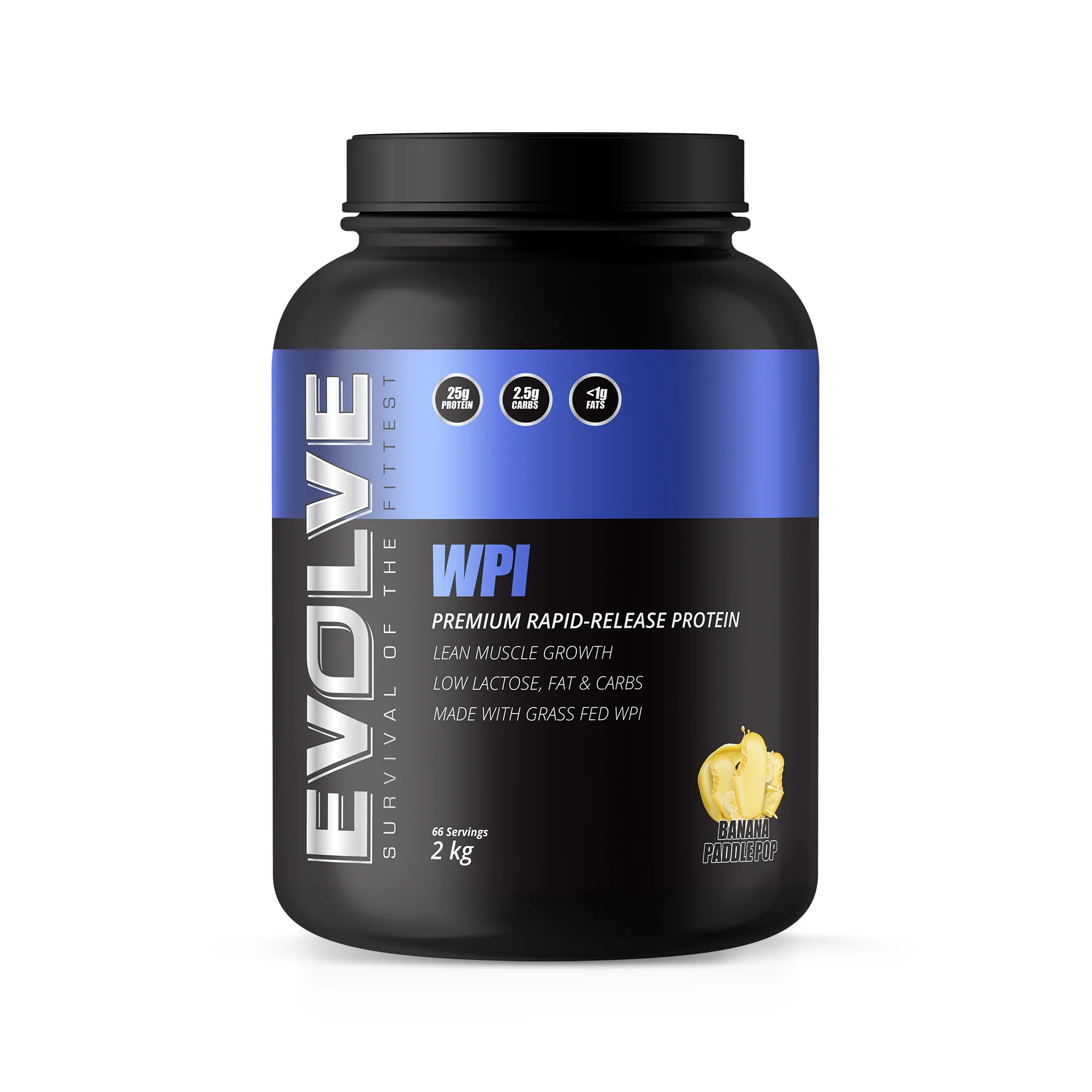 Evolve WPI - Image 12