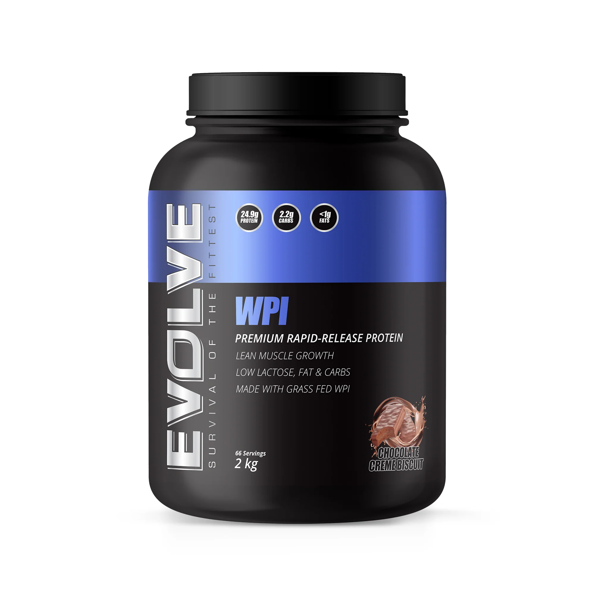Evolve WPI - Image 13