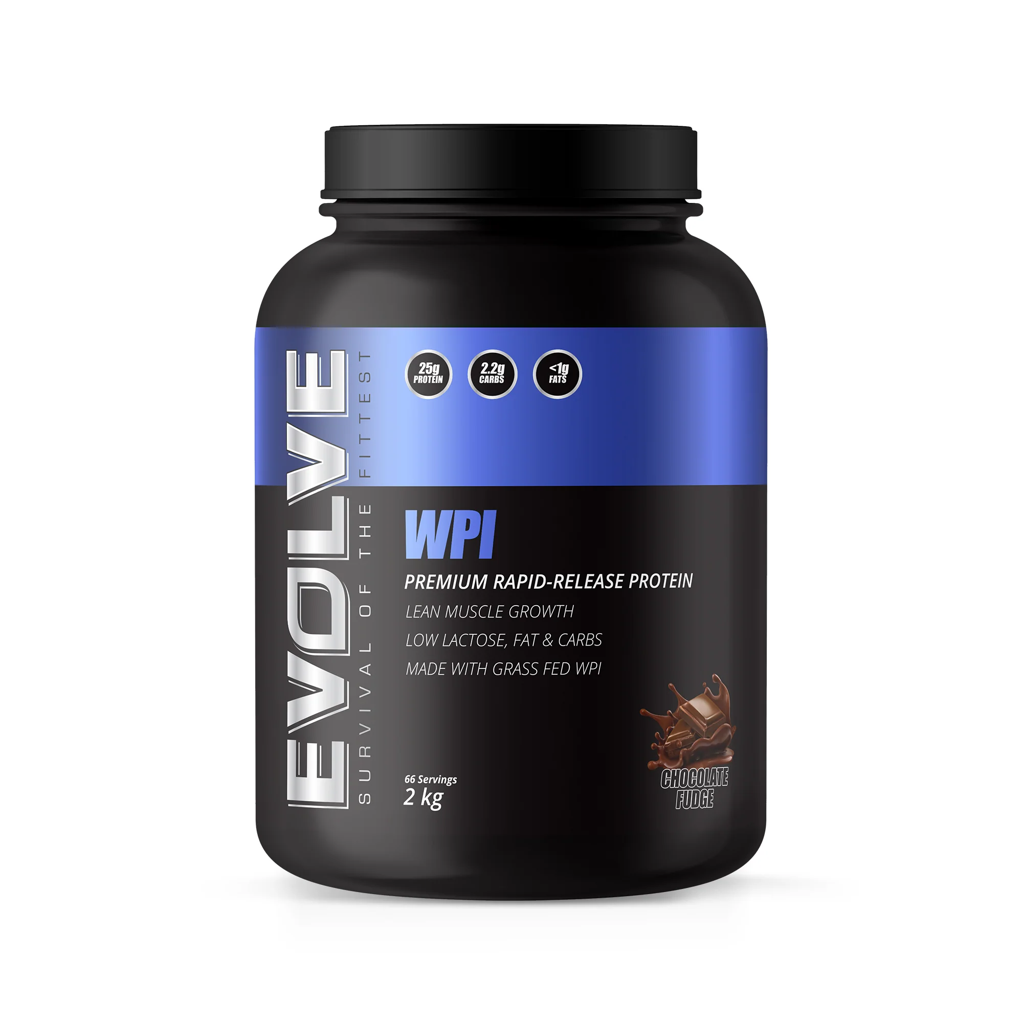 Evolve WPI - Image 14